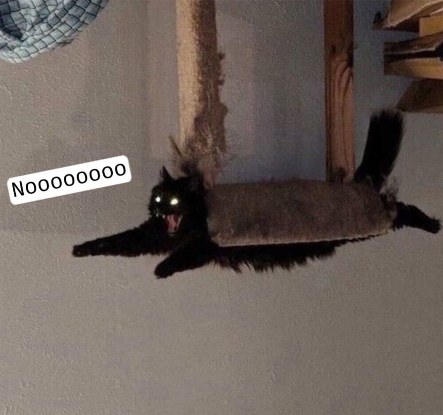 Noooooooo